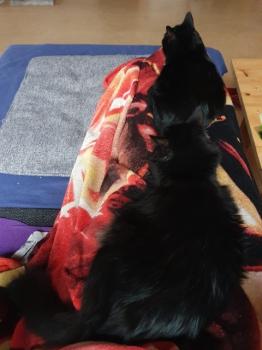 Junior Bild von Junior