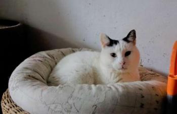 Carla Bild von Carla