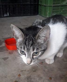 Milana Bild von Milana