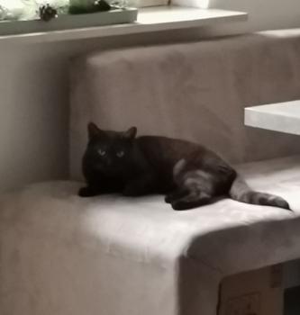 Friky Bild von Friky