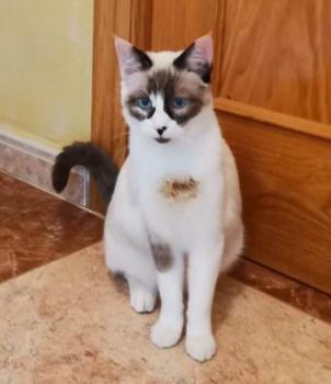 Ratita Bild von Ratita