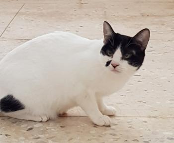 Nana Bild von Nana