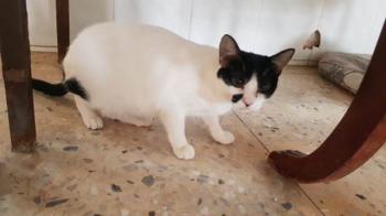 Nana Bild von Nana