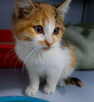 Jenny Bild von Jenny