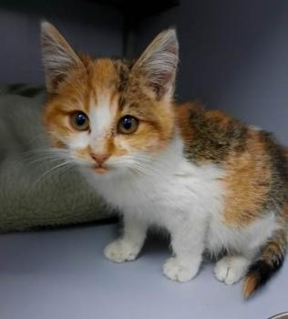 Jenny Bild von Jenny