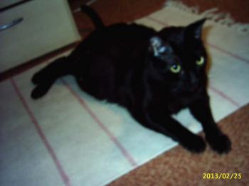 Benito Bild von Benito