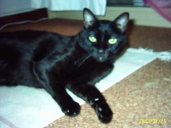 Benito Bild von Benito