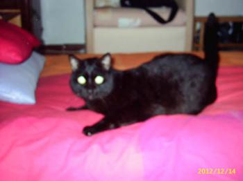 Benito Bild von Benito