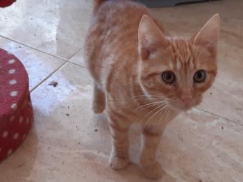 Twist Bild von Twist
