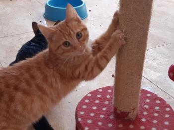 Twist Bild von Twist