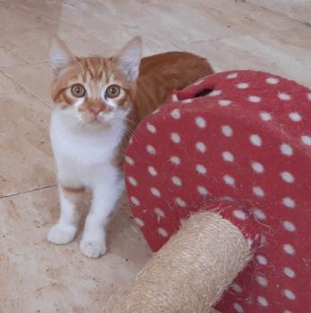 Bild von Timber