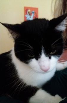 Ashira Bild von Ashira