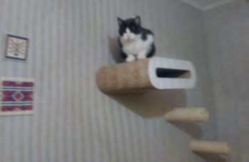 Ralfi Bild von Ralfi