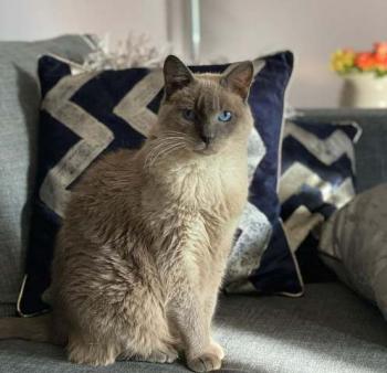Sammy Bild von Sammy