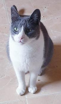 Oskar Bild von Oskar