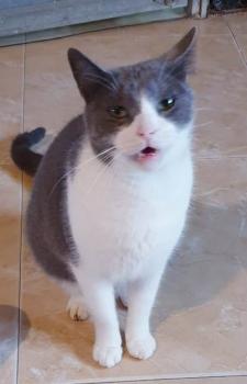 Oskar Bild von Oskar