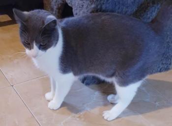 Oskar Bild von Oskar