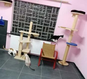 Feli Bild von Feli
