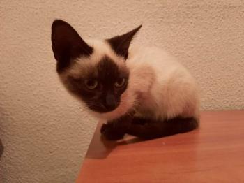 Sal Bild von Sal