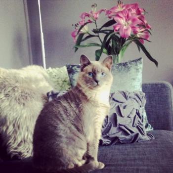 Sammy Bild von Sammy
