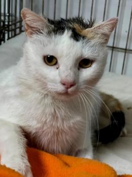 Manchitas Bild von Manchitas