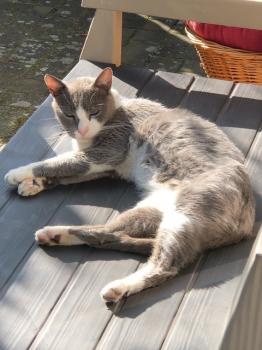 Aaron 5715 Bild von Aaron 5715