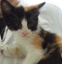 Mel Bild von Mel