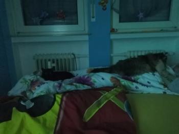 Friky Bild von Friky