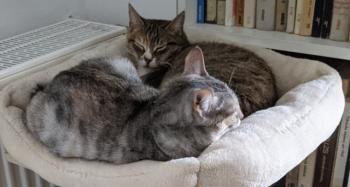 Margaret Bild von Margaret