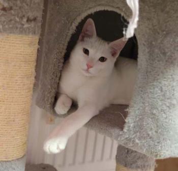 Finbar Bild von Finbar