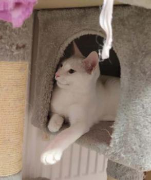 Finbar Bild von Finbar