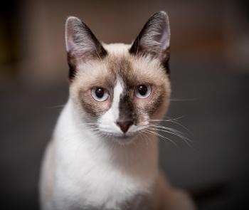 Mausi Bild von Mausi