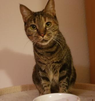 Sara Bild von Sara