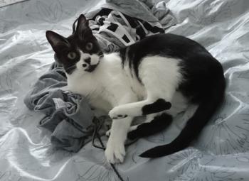 Bascha Bild von Bascha