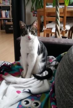Mushu Bild von Mushu