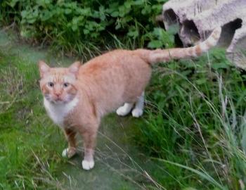 Fritz Bild von Fritz