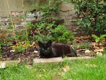 Bild von Lilith