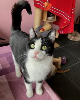 Feli Bild von Feli