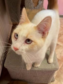 Finbar Bild von Finbar