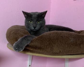 Clyde Bild von Clyde