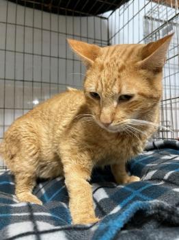 Thomas Bild von Thomas