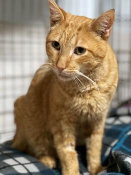 Thomas Bild von Thomas