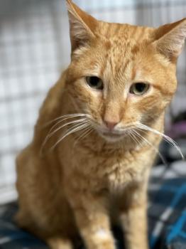 Thomas Bild von Thomas