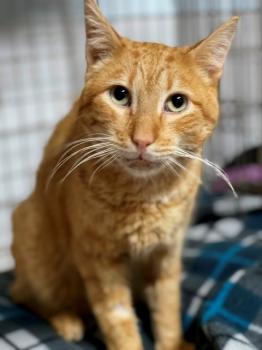 Thomas Bild von Thomas