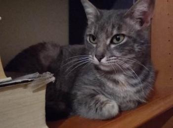 Moli Bild von Moli