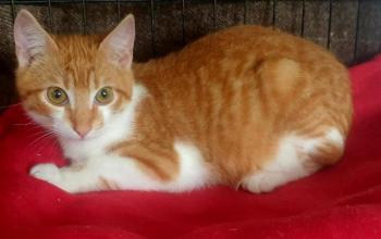 Pancho Bild von Pancho