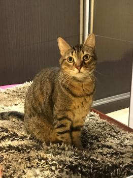 Lenny Bild von Lenny