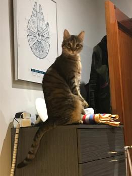 Lenny Bild von Lenny
