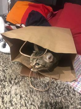 Lenny Bild von Lenny
