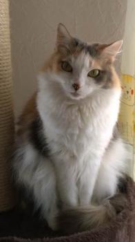 Belinda Bild von Belinda